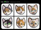 gatos gatos